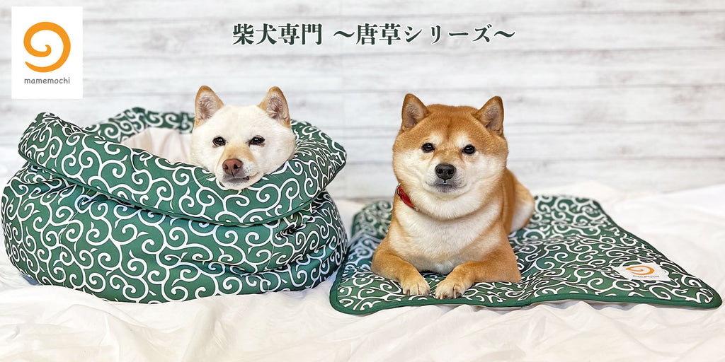 柴犬専門ブランド mamemochi から〜唐草まみれシリーズ〜 沼る唐草ラウンドベッド / ブランケットがいよいよ新登場