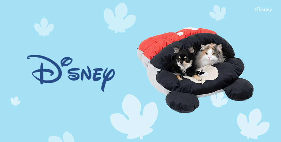 Disney -ディズニー-