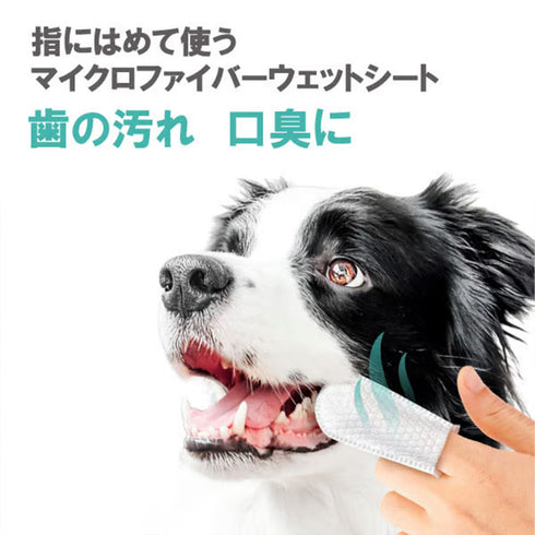 フィンガーティップワイプ歯用 50枚入り ペット用品