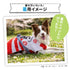 pipi お祭りはっぴ 中大型犬 ペット用品 26SS