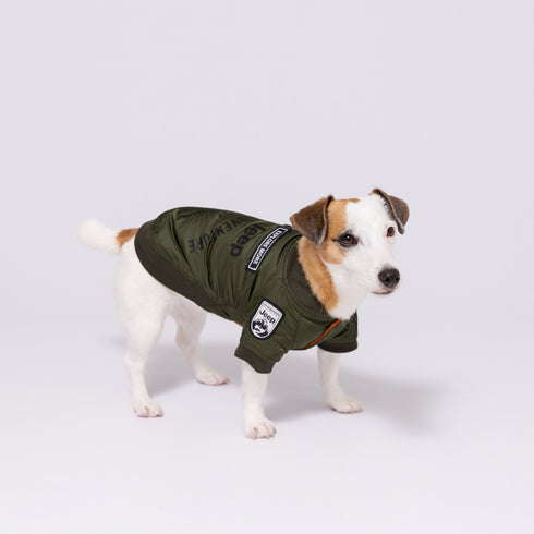 Jeep® ジープ MA-1 ジャケット JeepⓇの公式ライセンスペットアイテム