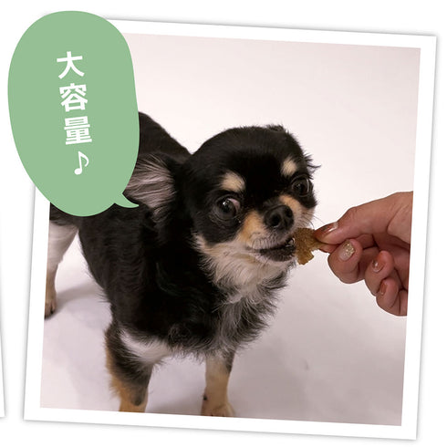 国産 無添加 牛タン皮 大容量480g 犬用おやつ 食いつき抜群