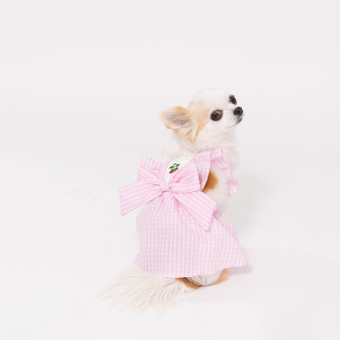 pipi ギンガムチェック ワンピース ピンク/ブルー 犬 いぬ 犬服 ペットウェア ドッグウェア 春服 夏服 春夏服 ミニチュアダックス 日焼け対策 女の子 フリル かわいい