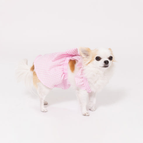 pipi ギンガムチェック ワンピース ピンク/ブルー 犬 いぬ 犬服 ペットウェア ドッグウェア 春服 夏服 春夏服 ミニチュアダックス 日焼け対策 女の子 フリル かわいい