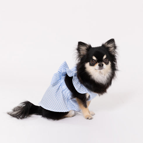 pipi ギンガムチェック ワンピース ピンク/ブルー 犬 いぬ 犬服 ペットウェア ドッグウェア 春服 夏服 春夏服 ミニチュアダックス 日焼け対策 女の子 フリル かわいい