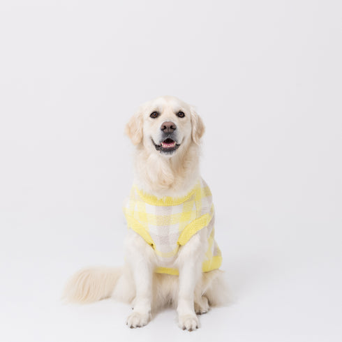 プーさんチェックシェニールニット中・大型犬 ペット用品