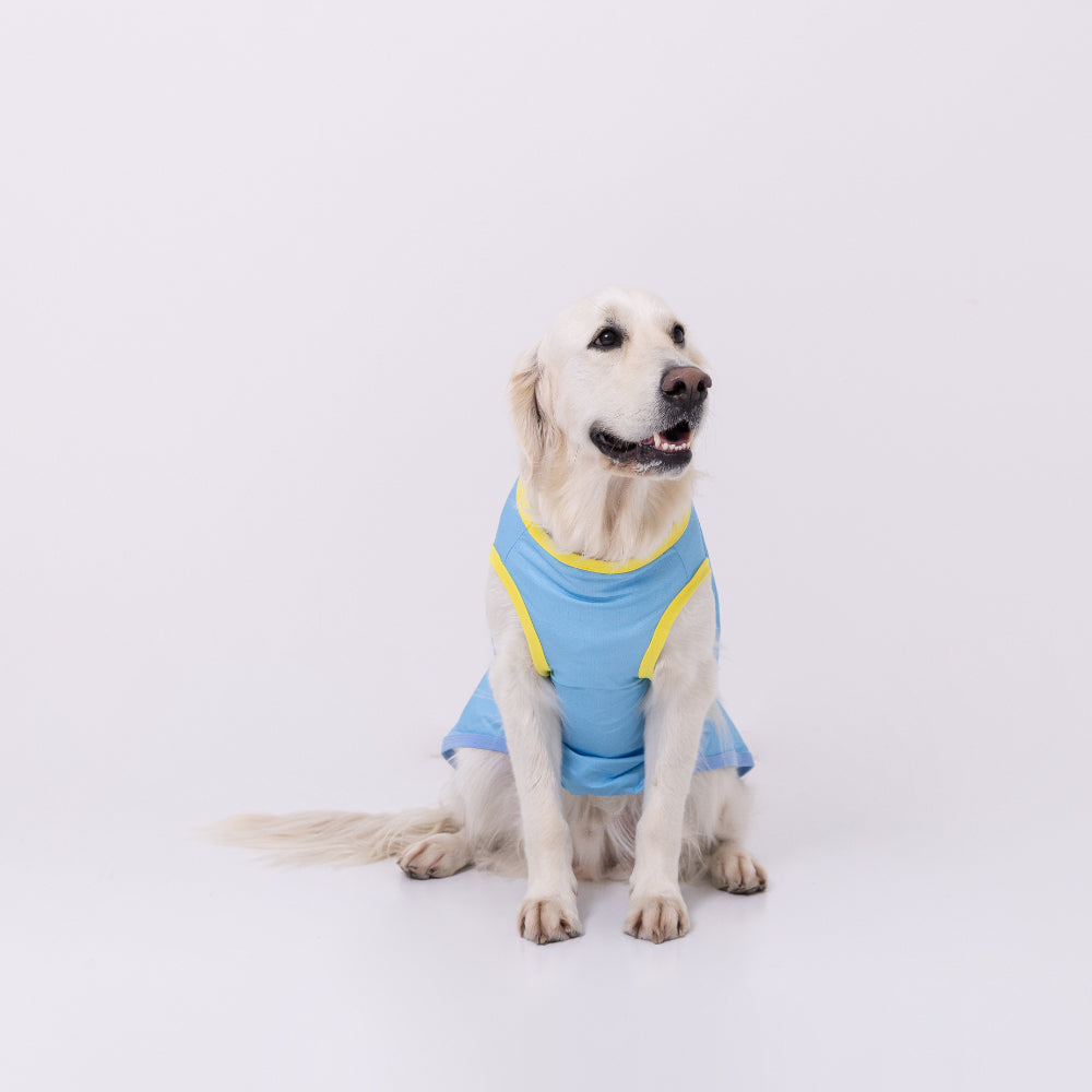 TOY STORYサーフタンク 中大型犬 ペット用品