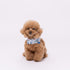 TOY STORYクールバンダナ ペット用品 26SS