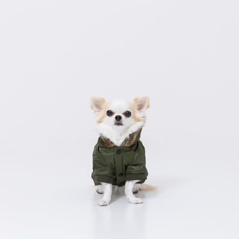 JeepⓇ ジャケット ペット用品 ペットウェア 犬服