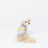 pipi手袋トレーナー ペット用品 ペットウェア 犬服