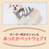 pipiボーダーケーブルニット ペット用品 ペットウェア 犬服