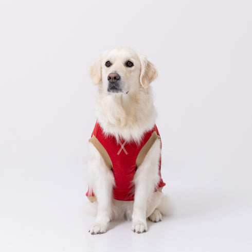 pipiポカポカタンクトップ 中大型犬 ペット用品