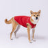 pipiポカポカタンクトップ 中大型犬 ペット用品