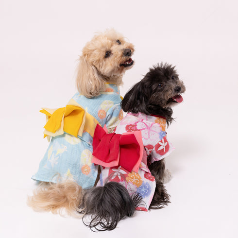 pipi うさぎ柄浴衣 ペット用品 26SS