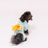 pipi うさぎ柄浴衣 ペット用品 26SS