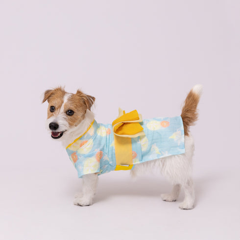 pipi うさぎ柄浴衣 ペット用品 26SS