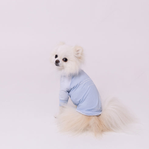 pipi 防虫Tシャツ ペット用品 26SS
