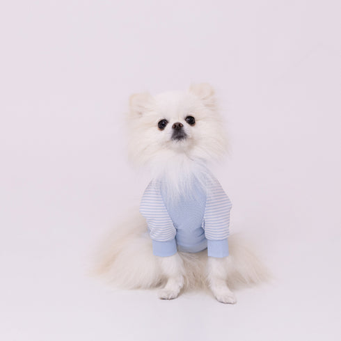 pipi 防虫Tシャツ ペット用品 26SS