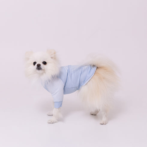 pipi 防虫Tシャツ ペット用品 26SS