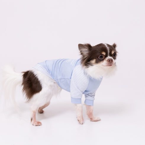 pipi 防虫Tシャツ ペット用品 26SS