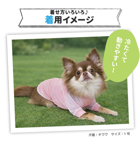 pipi 防虫Tシャツ ペット用品 26SS