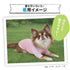 pipi 防虫Tシャツ ペット用品 26SS