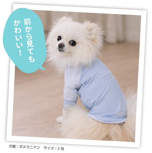 pipi 防虫Tシャツ ペット用品 26SS