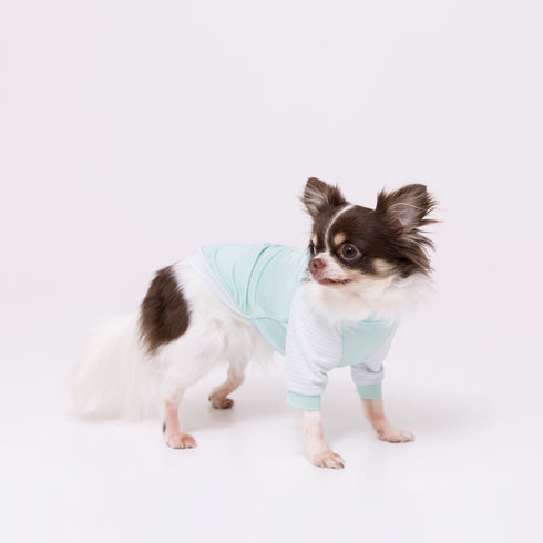 pipi 防虫Tシャツ ペット用品 26SS