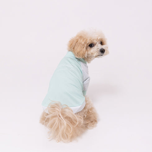 pipi 防虫Tシャツ ペット用品 26SS