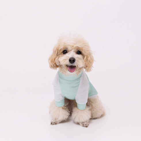 pipi 防虫Tシャツ ペット用品 26SS