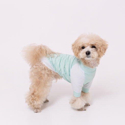 pipi 防虫Tシャツ ペット用品 26SS