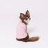 pipi 防虫Tシャツ ペット用品 26SS