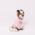 pipi 防虫Tシャツ ペット用品 26SS
