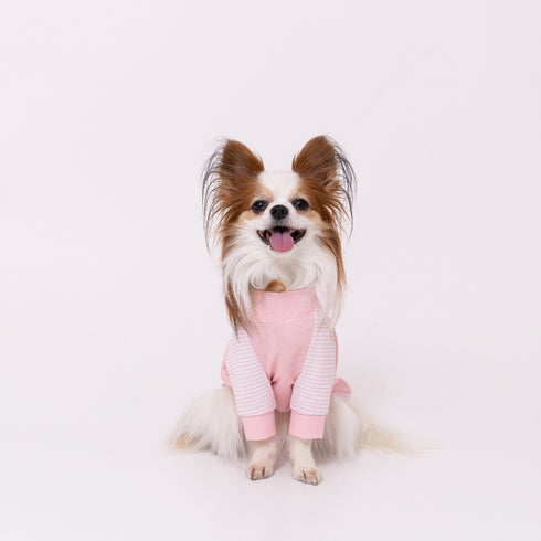 pipi 防虫Tシャツ ペット用品 26SS