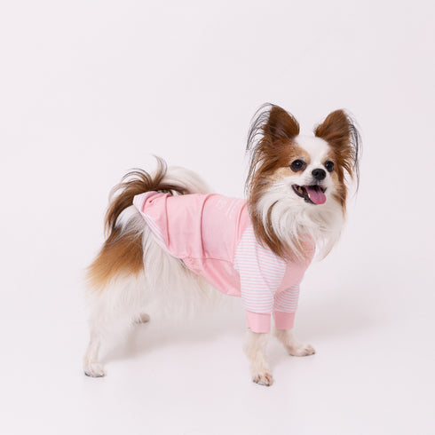 pipi 防虫Tシャツ ペット用品 26SS