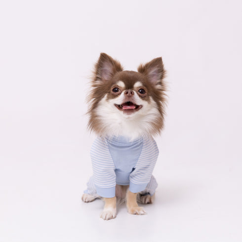 pipi 防虫ロンパース ペット用品 26SS