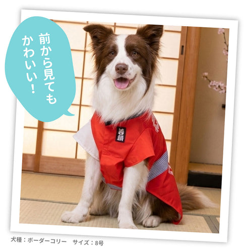 pipi お祭りはっぴ 中大型犬 ペット用品 26SS