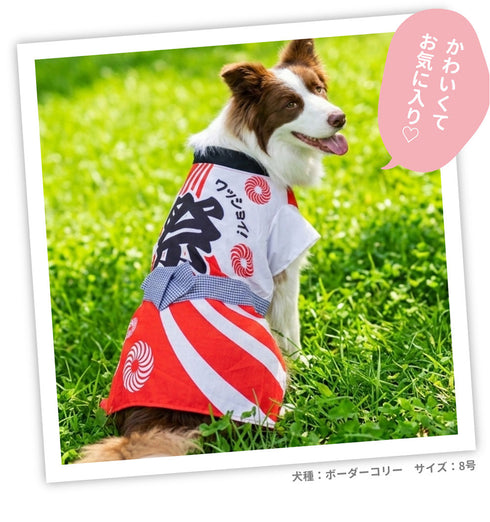 pipi お祭りはっぴ 中大型犬 ペット用品 26SS