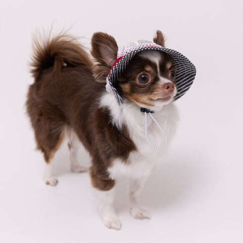 【PET THREE】ヒッコリーハット ペット用品 26SS