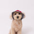 【PET THREE】ヒッコリーハット ペット用品 26SS