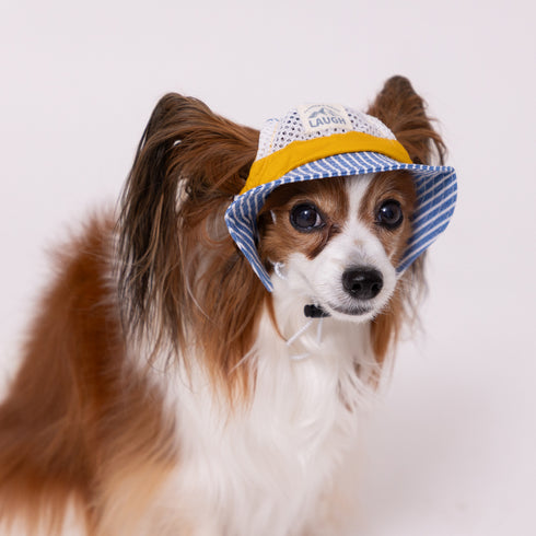 【PET THREE】ヒッコリーハット ペット用品 26SS