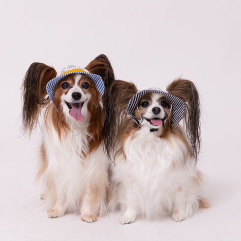 【PET THREE】ヒッコリーハット ペット用品 26SS