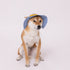 【PET THREE】ヒッコリーハット ペット用品 26SS