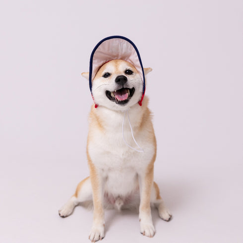 pipi サンバイザー ペット用品 26SS