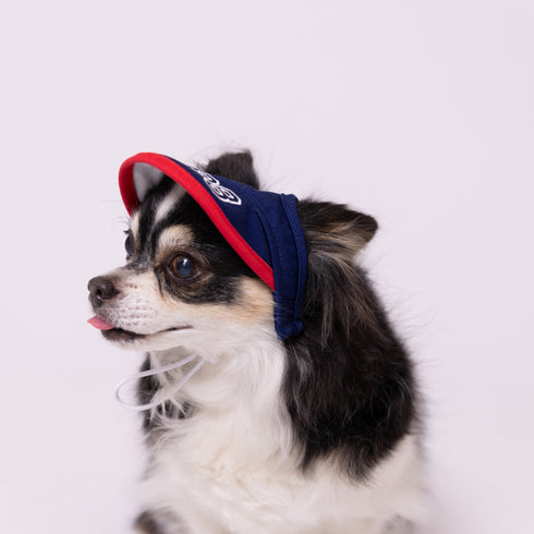 pipi サンバイザー ペット用品 26SS
