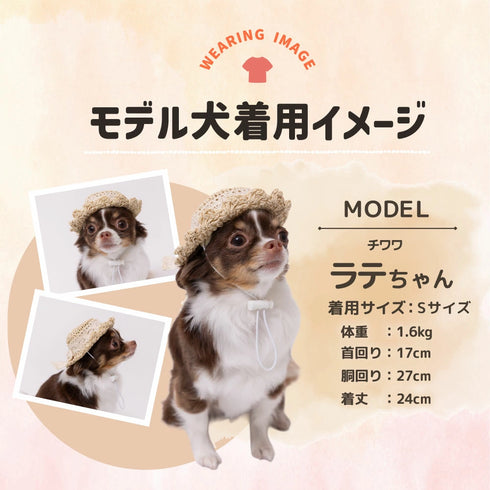 pipi ストローハット ペット用品 26SS