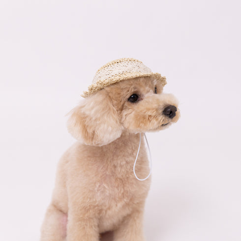 pipi ストローハット ペット用品 26SS