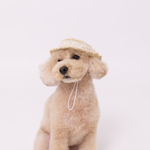 pipi ストローハット ペット用品 26SS