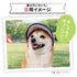 pipi サンバイザー ペット用品 26SS