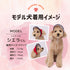 pipi サンバイザー ペット用品 26SS